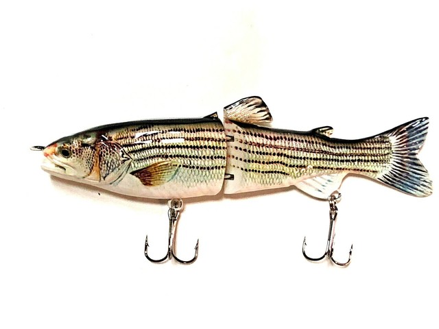 swim baits for stripers