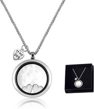 Pet Memorial Necklace,Pet Hair Souvenir Necklace for Dog Memorial Jewelry tha...