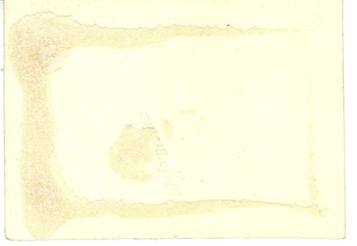 VINTAGE PRIVAT AMATEUR AKTFOTO um 1940 NU GERMAN NUDE PHOTO | eBay