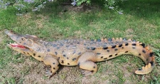 Large Alligator Statue - Life Size Alligator Statue 8 FT - Indoor Outdoor