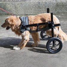 Dog Wheelchair for Back Legs Front Legs, All-Terrain Tires, Aluminum Alloy XXL