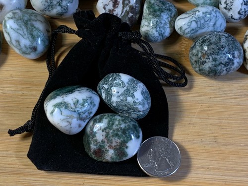 Green Tree Agate Tumbled Stones with Pouch! 3 pcs. US Seller! FREE Ship! - Picture 3 of 3