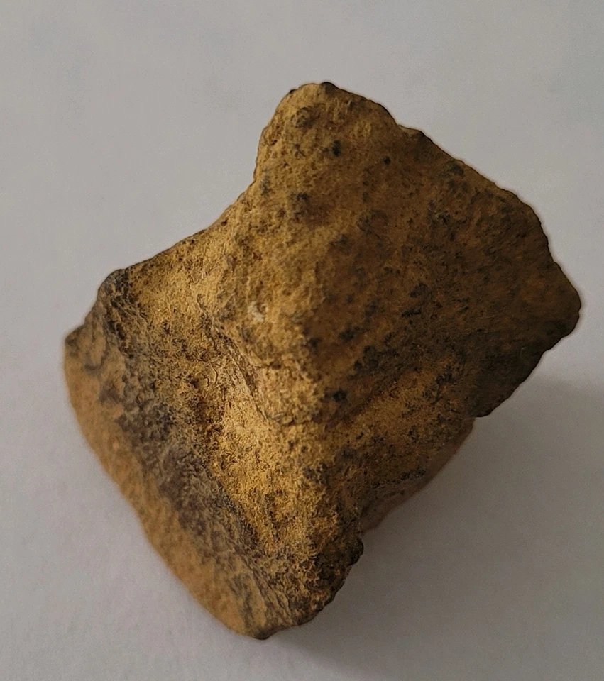 Natürlicher Bolder Opal Australien ca. 28 mm unbehandelt mit Zertifikat !!! - Bild 4 von 4