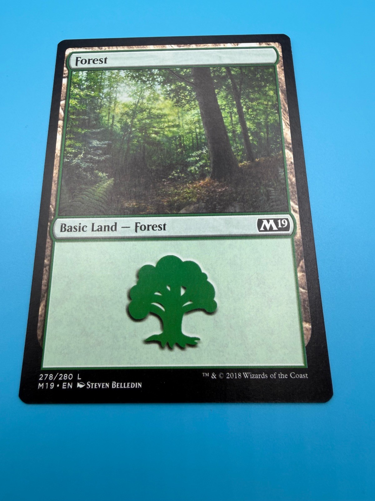 Forest (278) 278 Regular Land Core Set 2019 Magic: The Gathering Heavily Played