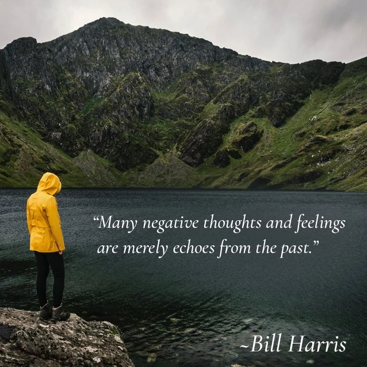 Holosync Hemisync Centerpointe Full Set 12Level Awakening Flowering Purification - Image 4 of 4