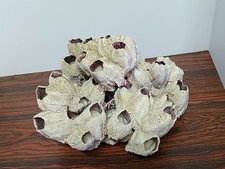 Gigante Decorativo Océano Roca Piedra Rara Acuario Pecera Barnacles Decoración