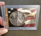 1989 American Silver Eagle Dollar 1 oz .999 Fine Silver Toned BU Uncirculated