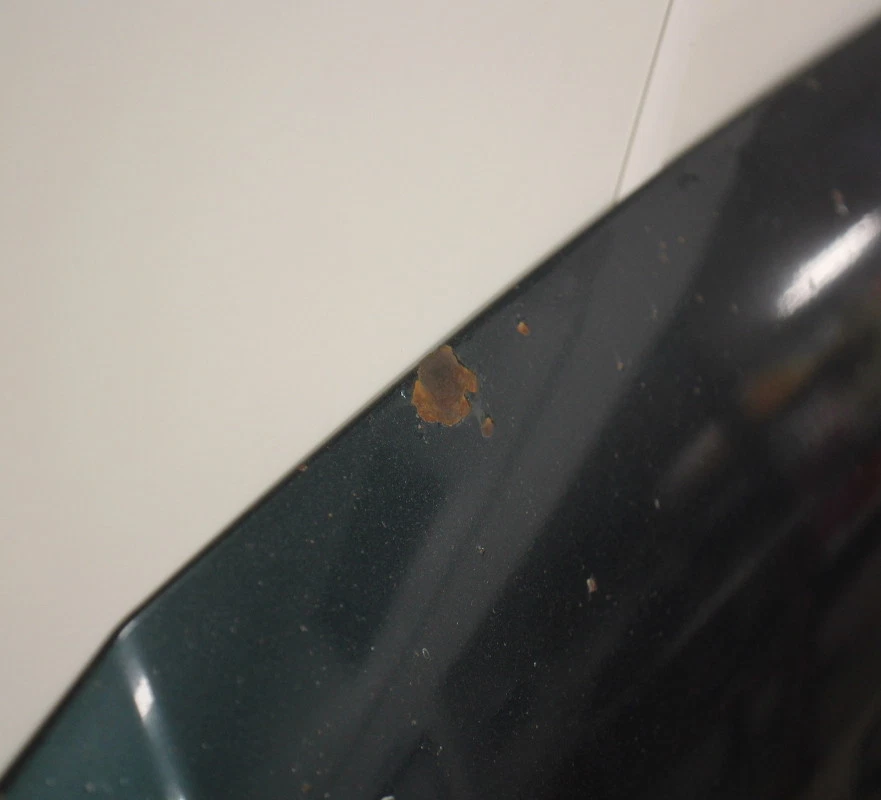 Capó 01-05 VW Passat B5.5 - LB6W verde pino - genuino - camioneta local Iowa Foto 3 de 4