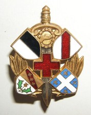 INSIGNE 6° SECTION D'INFIRMIERS MILITAIRES - Drago