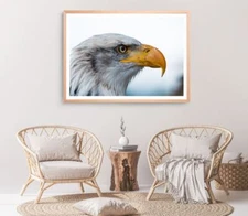 Eagal Face Print,Eagal Bird Wall Art, Bird Face Framed Bird Wall Art, Animal
