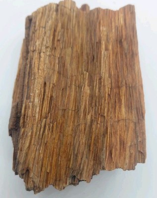 Utah Petrified Wood Fossilized Tree Limb Excellent Bark Grain Quartz Vein 1 Lb