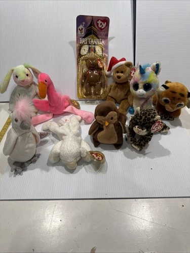 Ty Beanie Baby Lot Bundle of 10 Pictured Vintage Collectible Beanie Babies