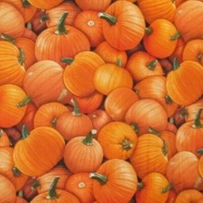PUMPKINS REALISTIC PUMPKIN ORANGE FRUIT FOOD COTTON FABRIC FQ