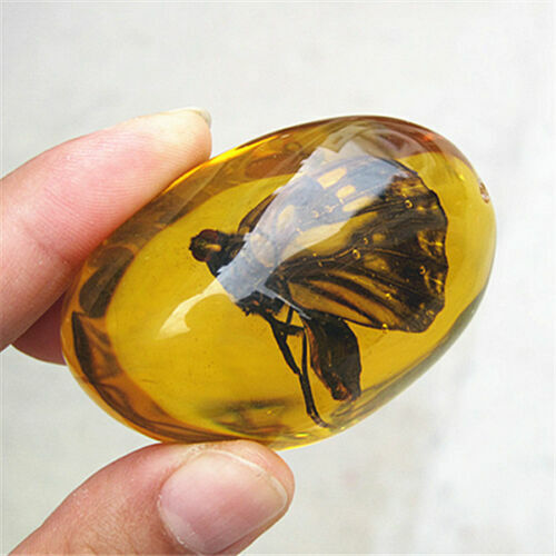 Beautiful Artificial Amber Fossil Insects Polishing Gecko Amber Manual  Ornaments