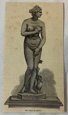 1877 magazine engraving ~ THE VENUS DE MEDICI