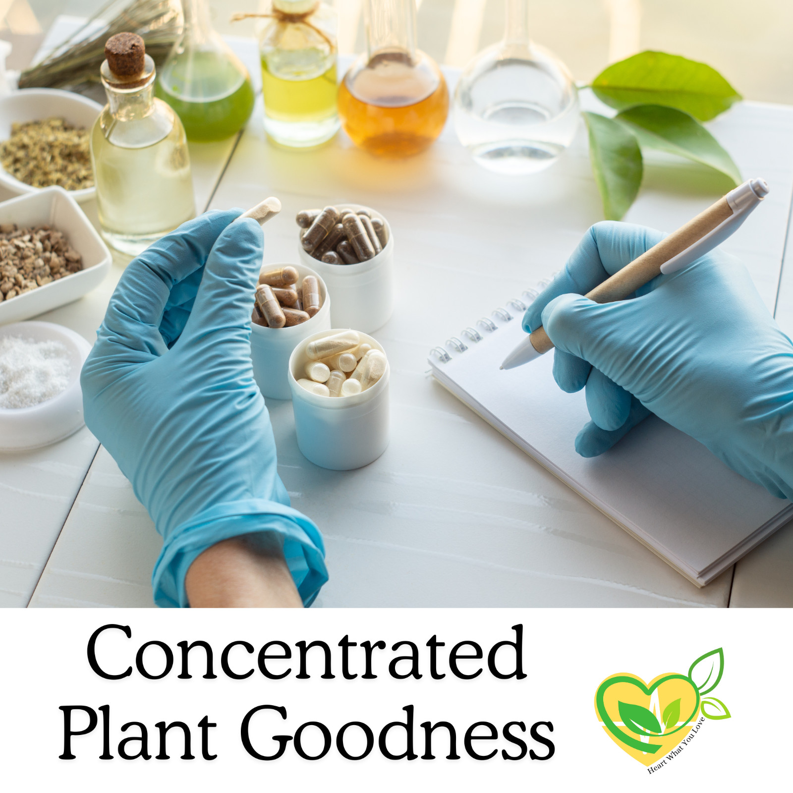 Parsley Leaf Capsules 500mg | 60 CT Vegan | Natural Kidney Cleanse & Detox