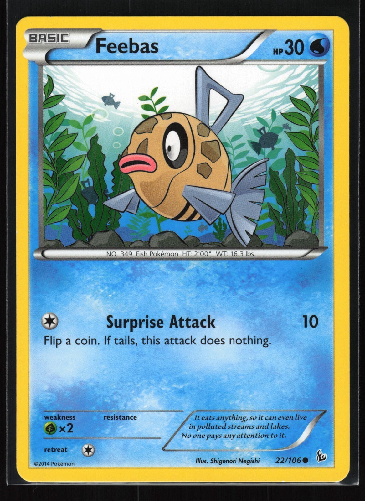 FEEBAS Flashfire #22 FLF(NM)(PKM)