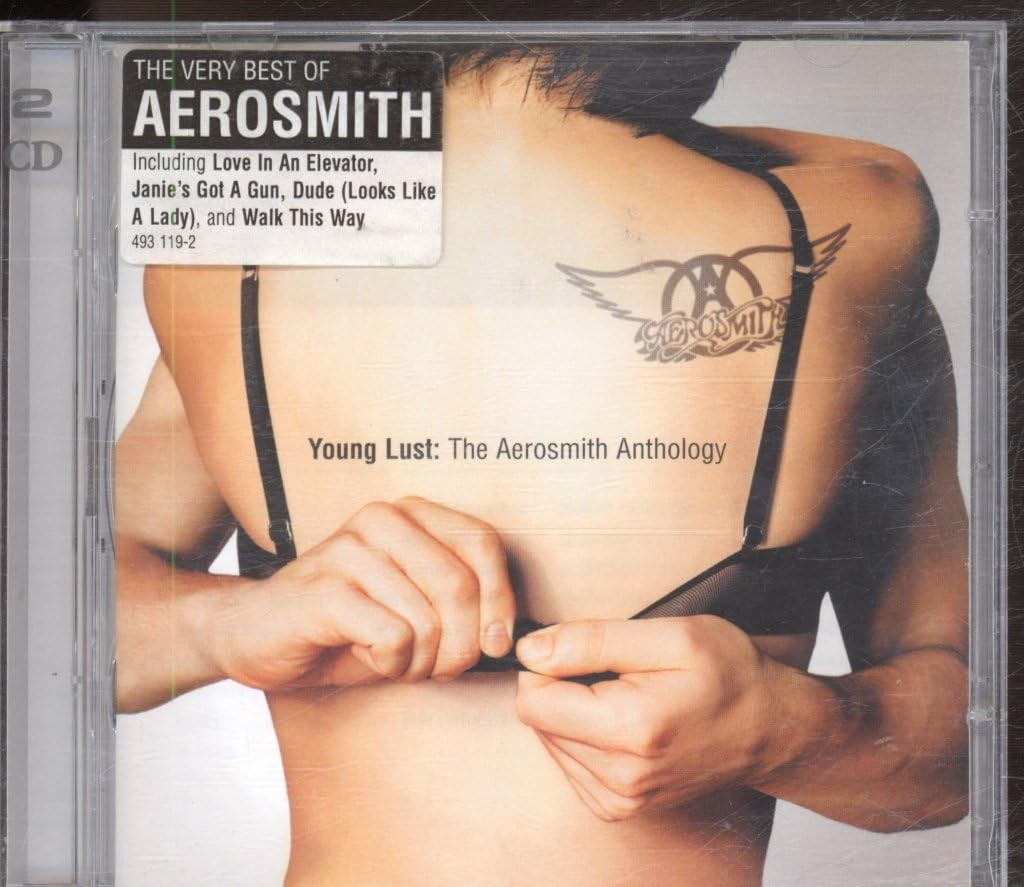 Aerosmith Young Lust: the Aerosmith Anthology Double CD NEW