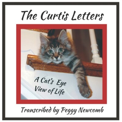 Newcomb - Curtis Letters  A Cat's Eye View of Life - New paperback or  - X555z
