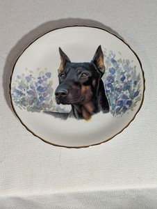 8” Doberman Pinscher Plate By Animal Accents Plus Art By Monika Keller-Cole