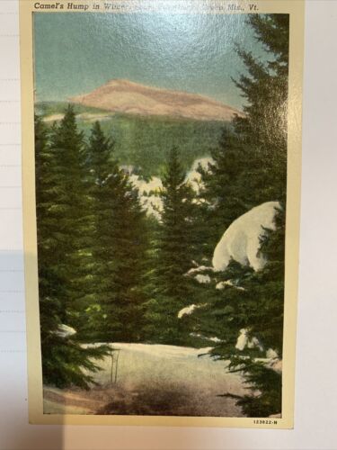 carte postale vintage Camels Hump Winter Waterbury vert Mts VT Vermont - Photo 1 sur 2