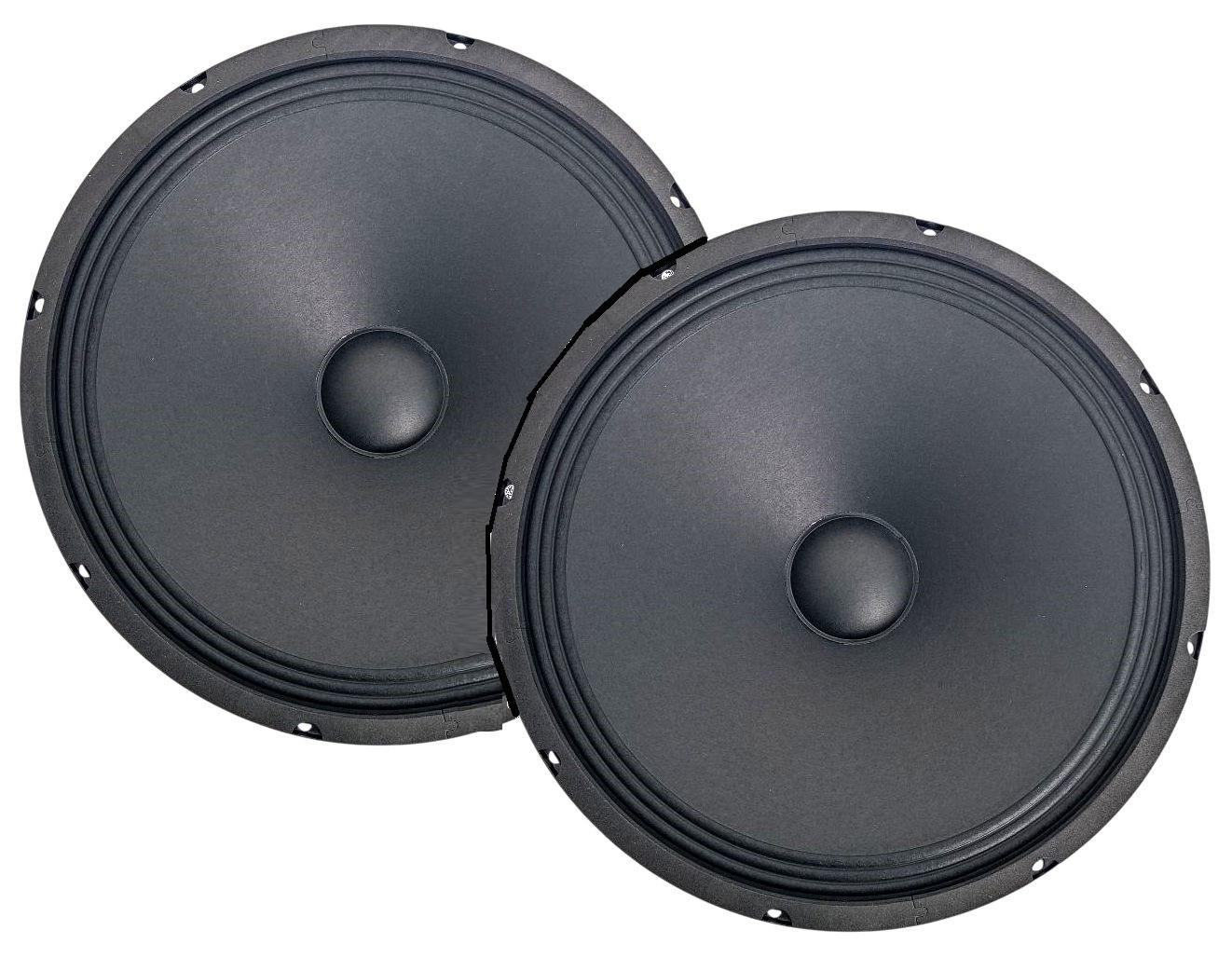 Coppia Altoparlanti Woofer 12 Pollici 30cm 300W 4 Ohm - Casa e Auto