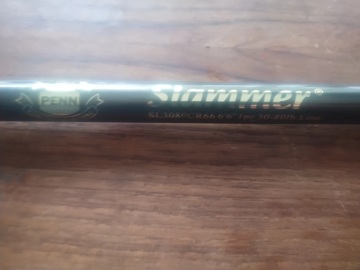 Penn 6 ft 6 in Item Fishing Rods & Poles 1 Pieces for sale | eBay