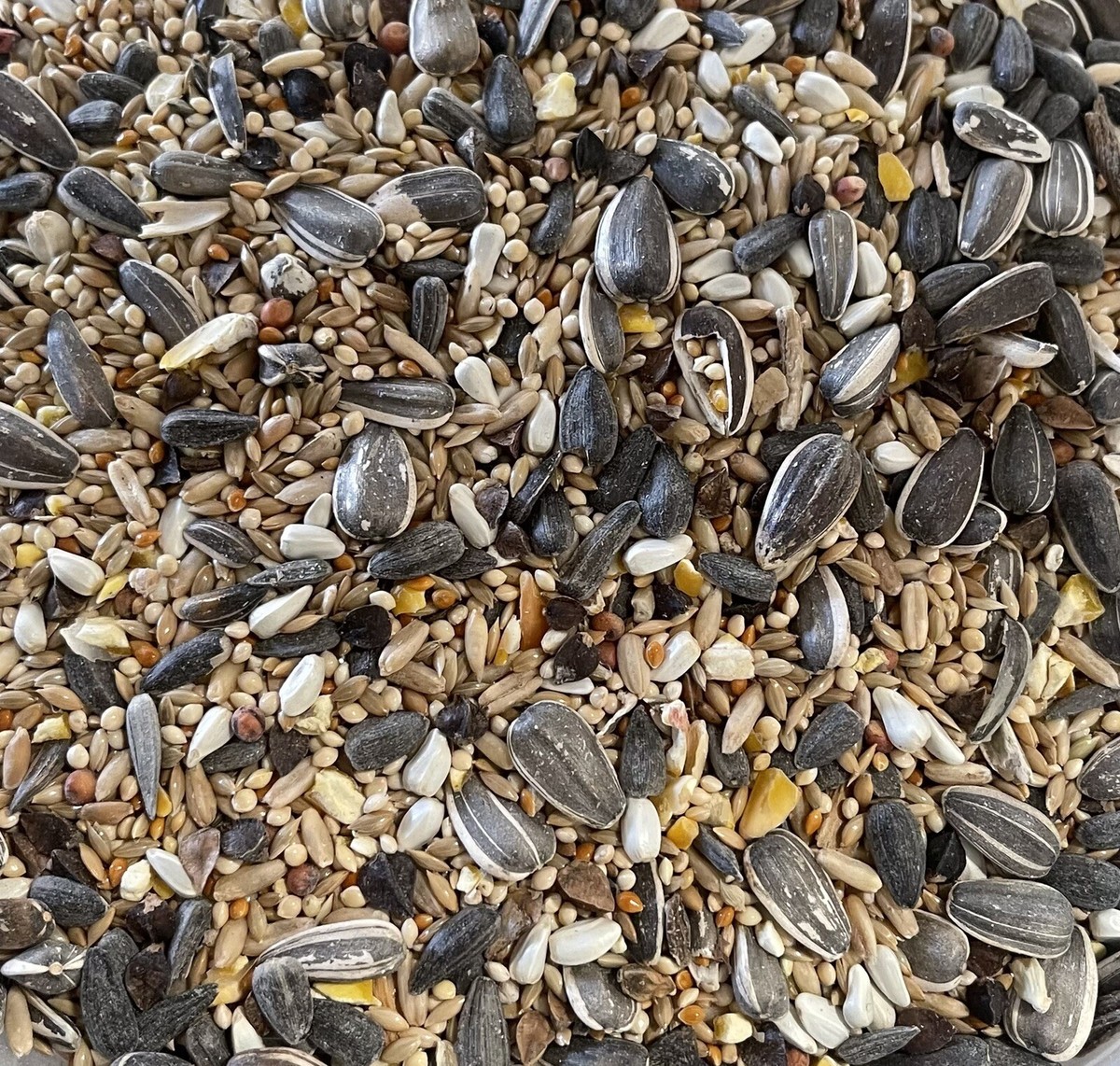 Bird Food Parrot Higgins Vita Seed Natural Blend Parrot Food