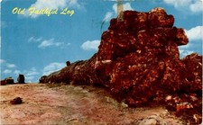 OLD FAITHFUL, PETRIFIED FOREST NATIONAL MONUMENT, ARIZONA, FLAGST Postcard