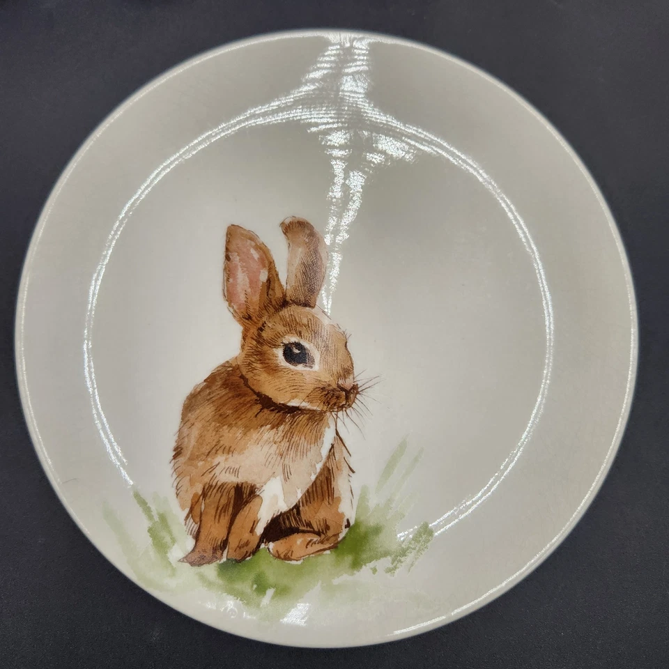 Juego de 4 platos de ensalada Pottery Barn Pasture Bunny esmalte craquelado retirado Foto 4 de 4