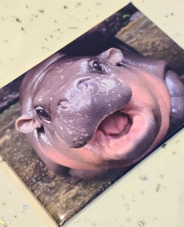 Moo Deng Baby Hippo Fridge Magnet 78x53mm | Cute Collectable for Home Decor