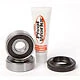 Pivot Works Wheel Bearing And Seal Kits Rear PWRWS-H29-000