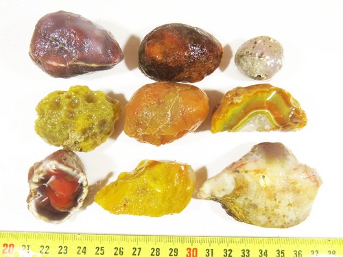 412 gms AGATE NODULES FROM AGATE CREEK, 9 pcs, LAPIDARY ROUGH