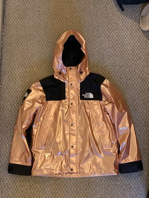 supreme north face metallic jacket