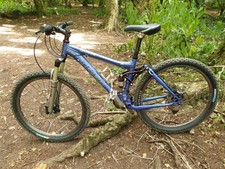 Trek Fuel Ex7 2013 Mountain Bike for 