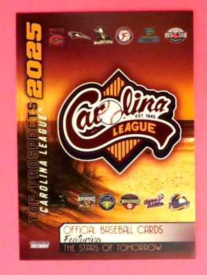 2025 MLB Draft: Top 400 Prospects – Future Stars Series