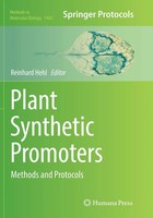 Reinhard Hehl | Plant Synthetic Promoters | Taschenbuch | Englisch (2018) | Xi