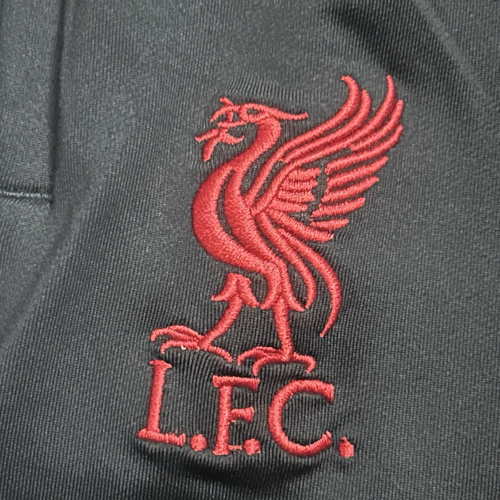 Nike Liverpool FC Dri-Fit Strike SE Soccer Pants Men’s Small Slim Fit HJ1993-010 image 6