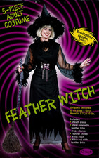 FUN WORLD FEATHER WITCH HALLOWEEN COSTUME ADULT FITS SIZES 4-14