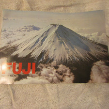 eBay Auction Picture