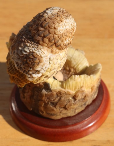 (1050) BORDER FINE ARTS FIGUR EINER BRAUNKAUZ VON RUSSELL WILLIS 541699 - Bild 3 von 9