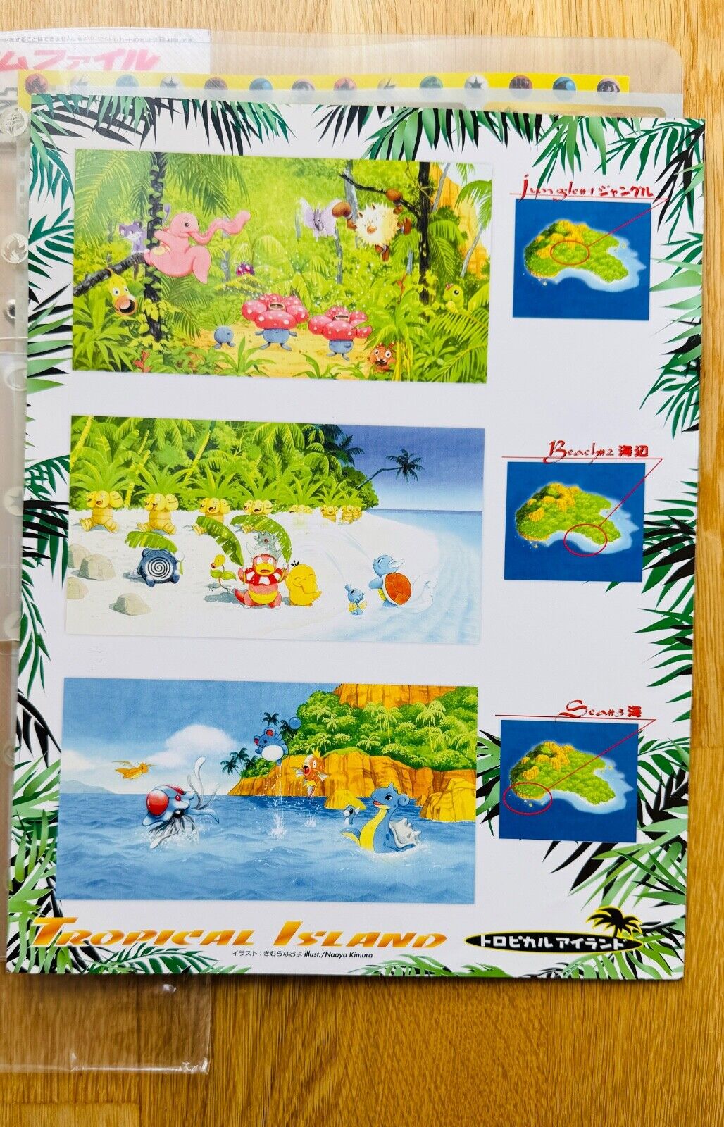 Bild 10 von 12