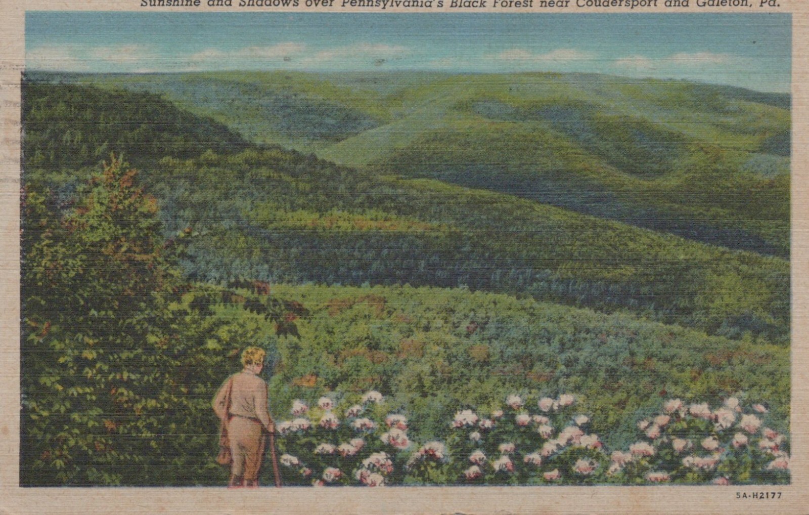 Pennsylvania's Black Forest near Coudersport and Galeton PA