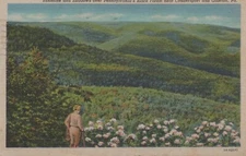 Pennsylvania's Black Forest near Coudersport and Galeton PA