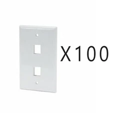 100 Pack Lot Keystone 2 Hole Port Jack Wall Face Plate Network CAT5e CAT6 White