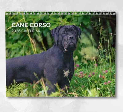BOYCE PUBLISHING Cane Corso Calendar 2026: Monthly Wall Calendar with Notes, opens to A3