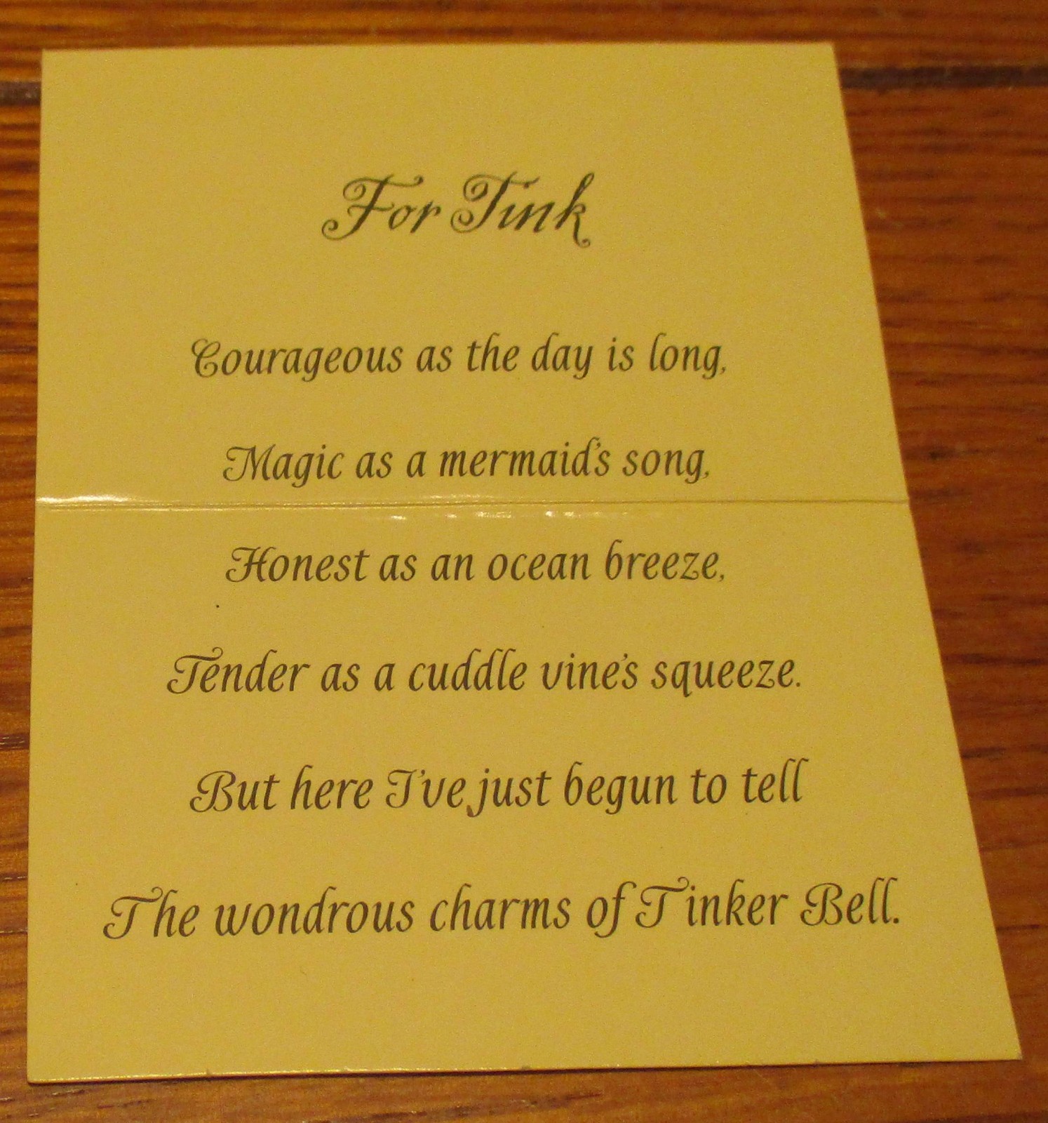 2006 Disney Fairies A Poem For Tink SIGNED Hardcover Book