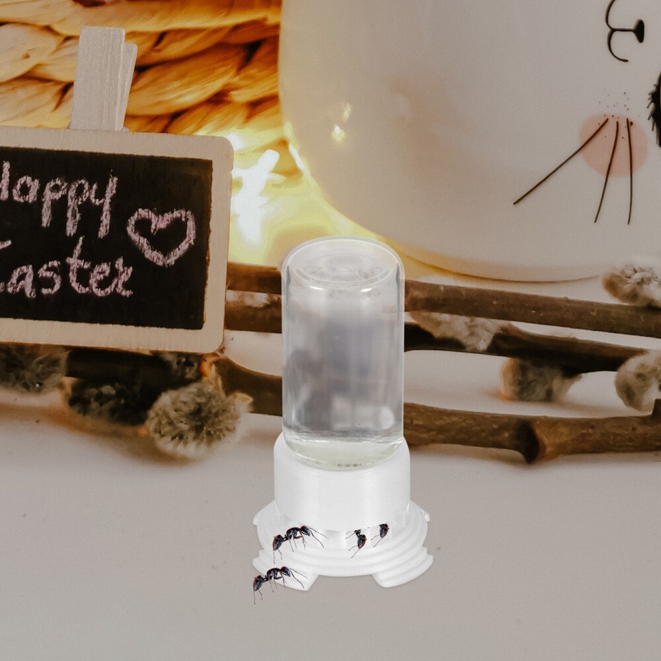 2 Pcs Ant Nest Entrance Feeder Pet Water Dispenser Feeding Containers