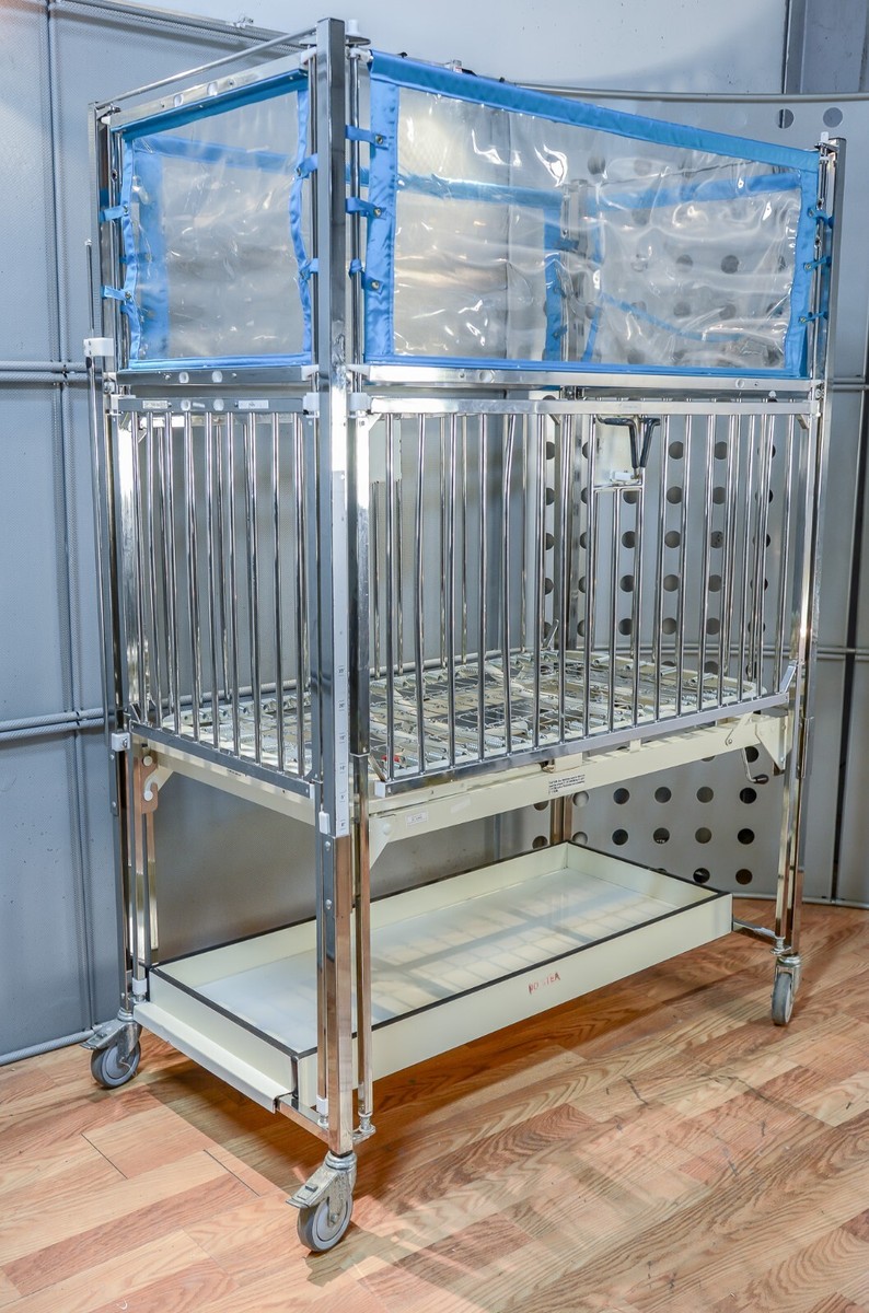 【直筆サイン入り】The Cribs◆The Cribs カラーLP 直筆サイン入り】The Cribs◇The Cribs カラーLP