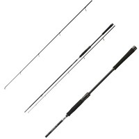 Daiwa Caldia Spin 2,70M 30-70G